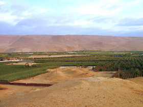 Valle de Azapa