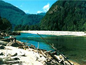 Río Cisnes 